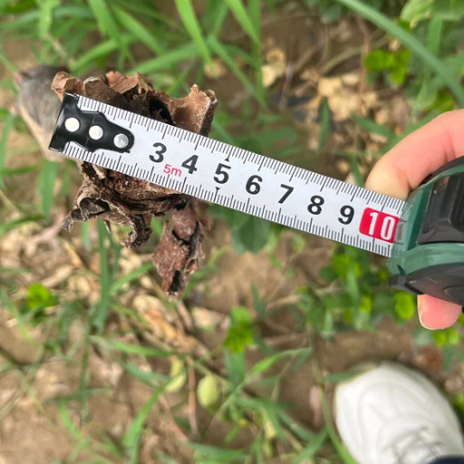 How Does the Laser Work for Tree Branch Cutting