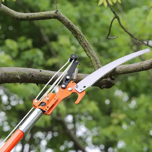 How to Prune Trees for Optimal Growth