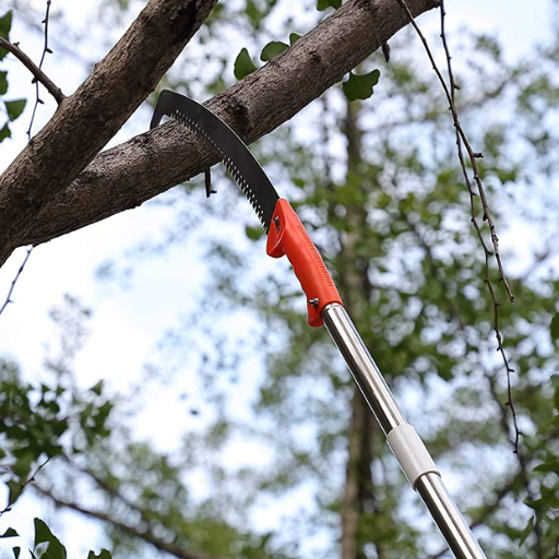 How Do Pole Saws and Pole Pruners Work