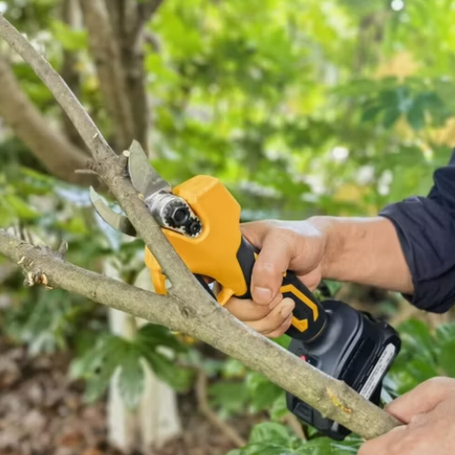 What to Consider When Buying Tree Pruning Tools