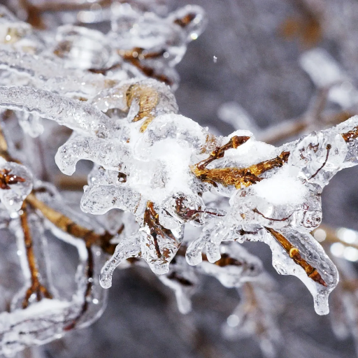 What Happens to Ice Molecules During the Melt?