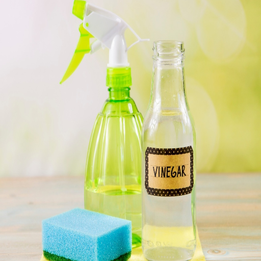 Introduction to Vinegar as a Rust Remover