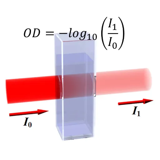 Optical Density (OD) Explained